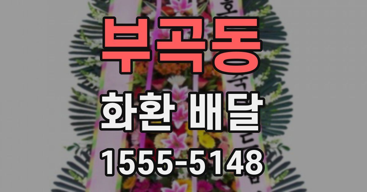 부곡동 화환 배달