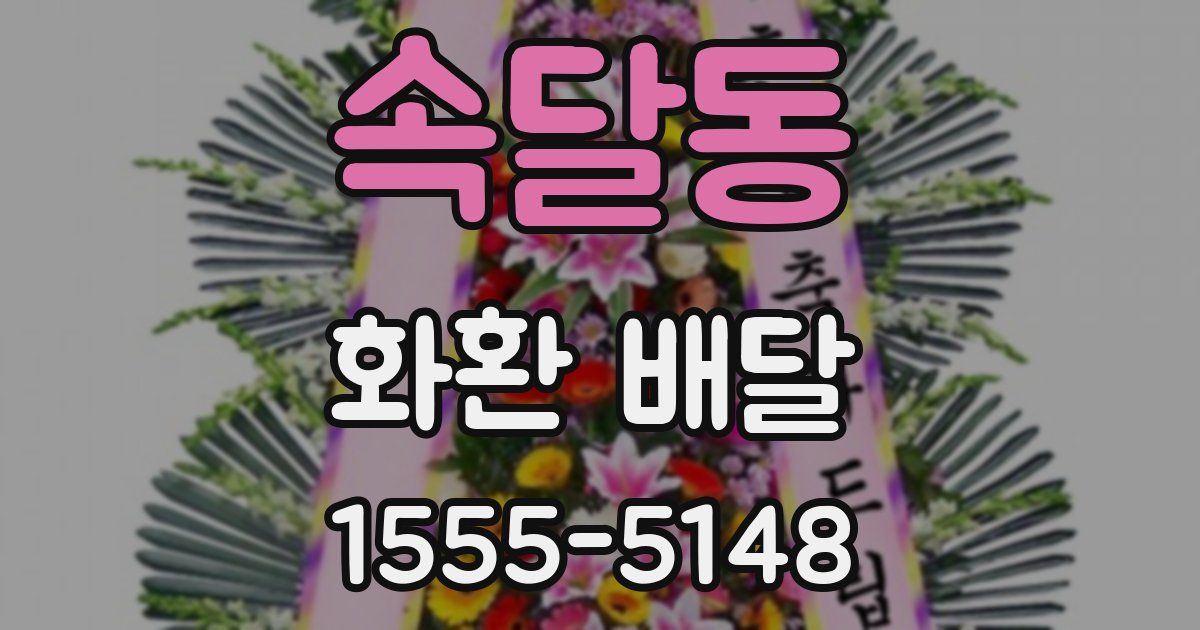 속달동 화환 배달