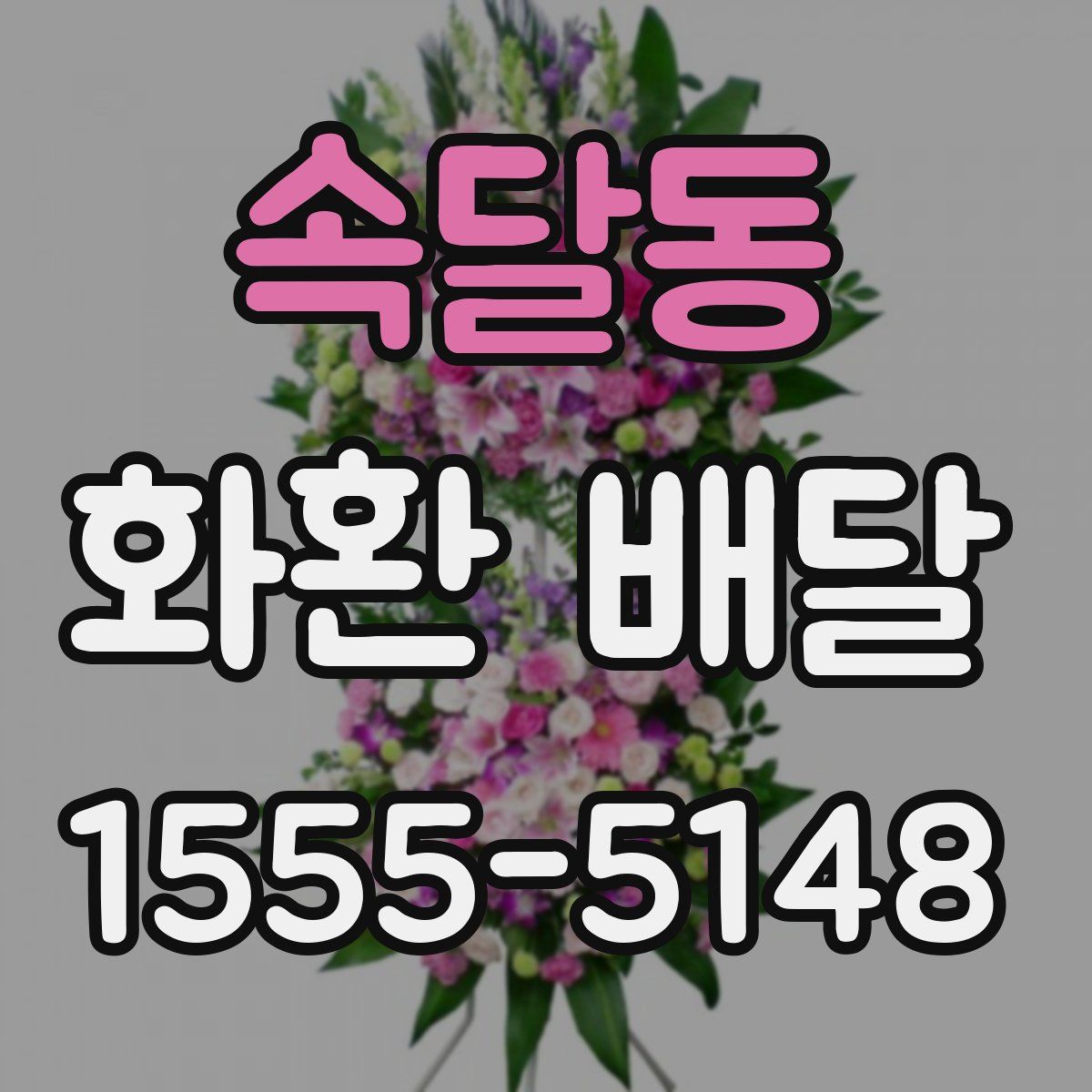 속달동 화환 배달