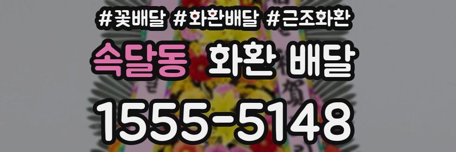 속달동 화환 배달