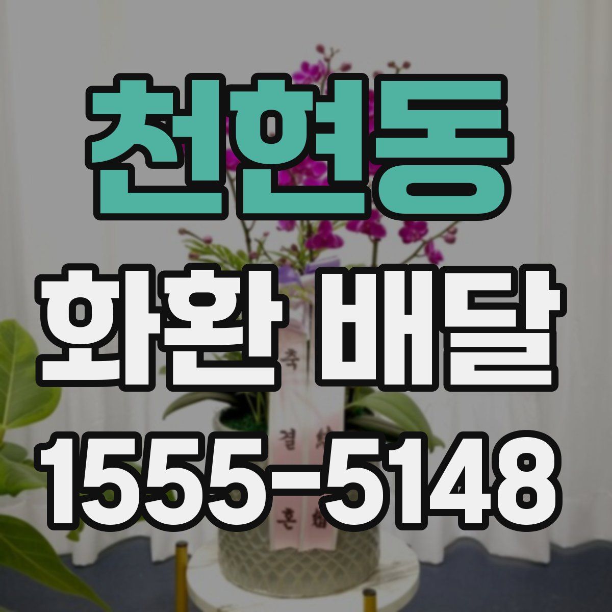 천현동 화환 배달