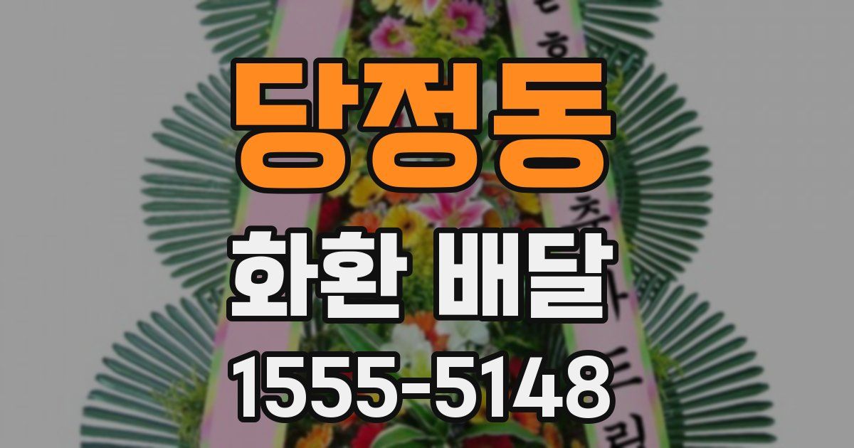 당정동 화환 배달