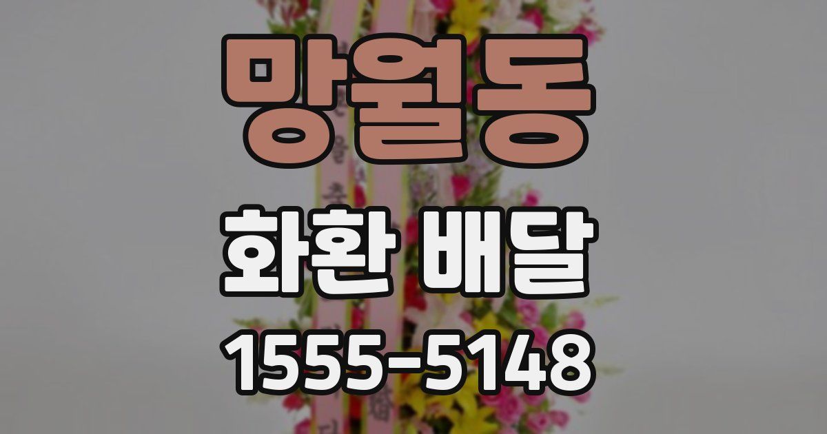 망월동 화환 배달