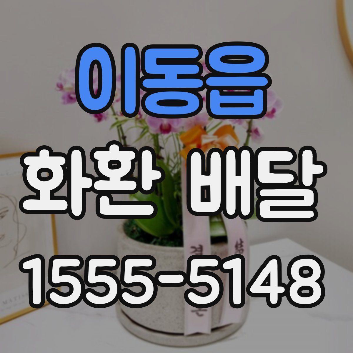 이동읍 화환 배달