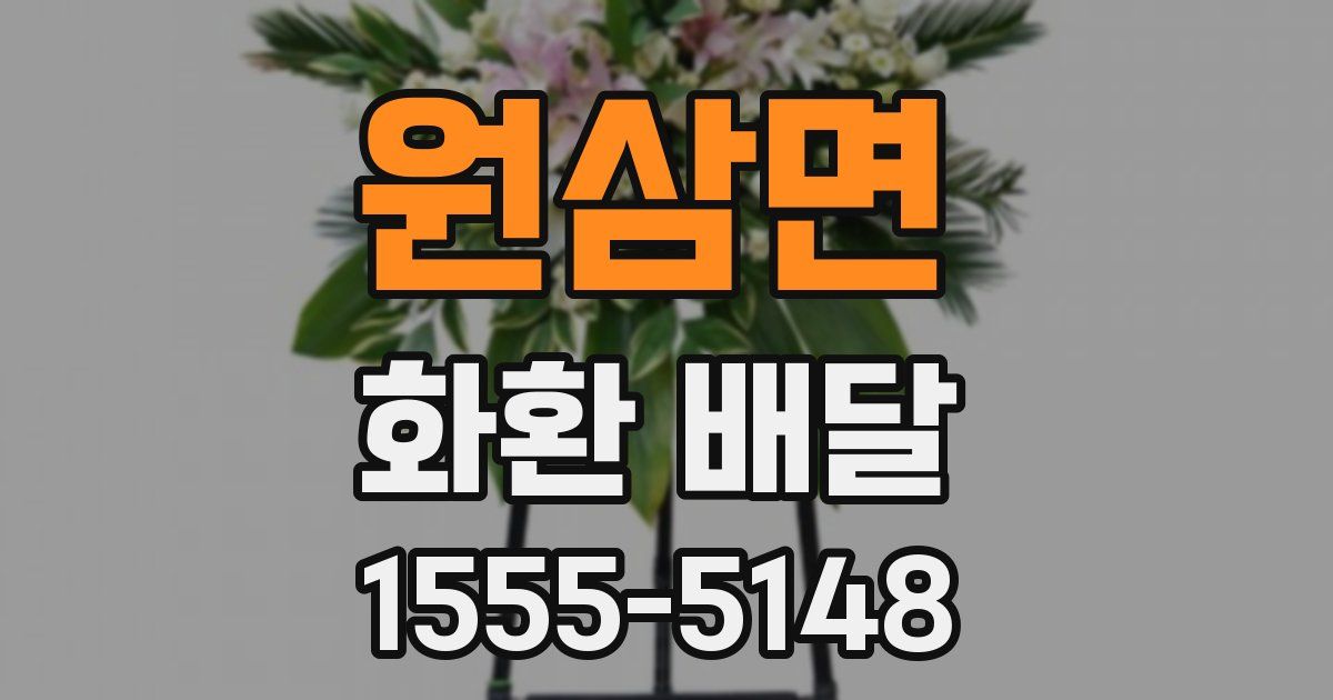 원삼면 화환 배달