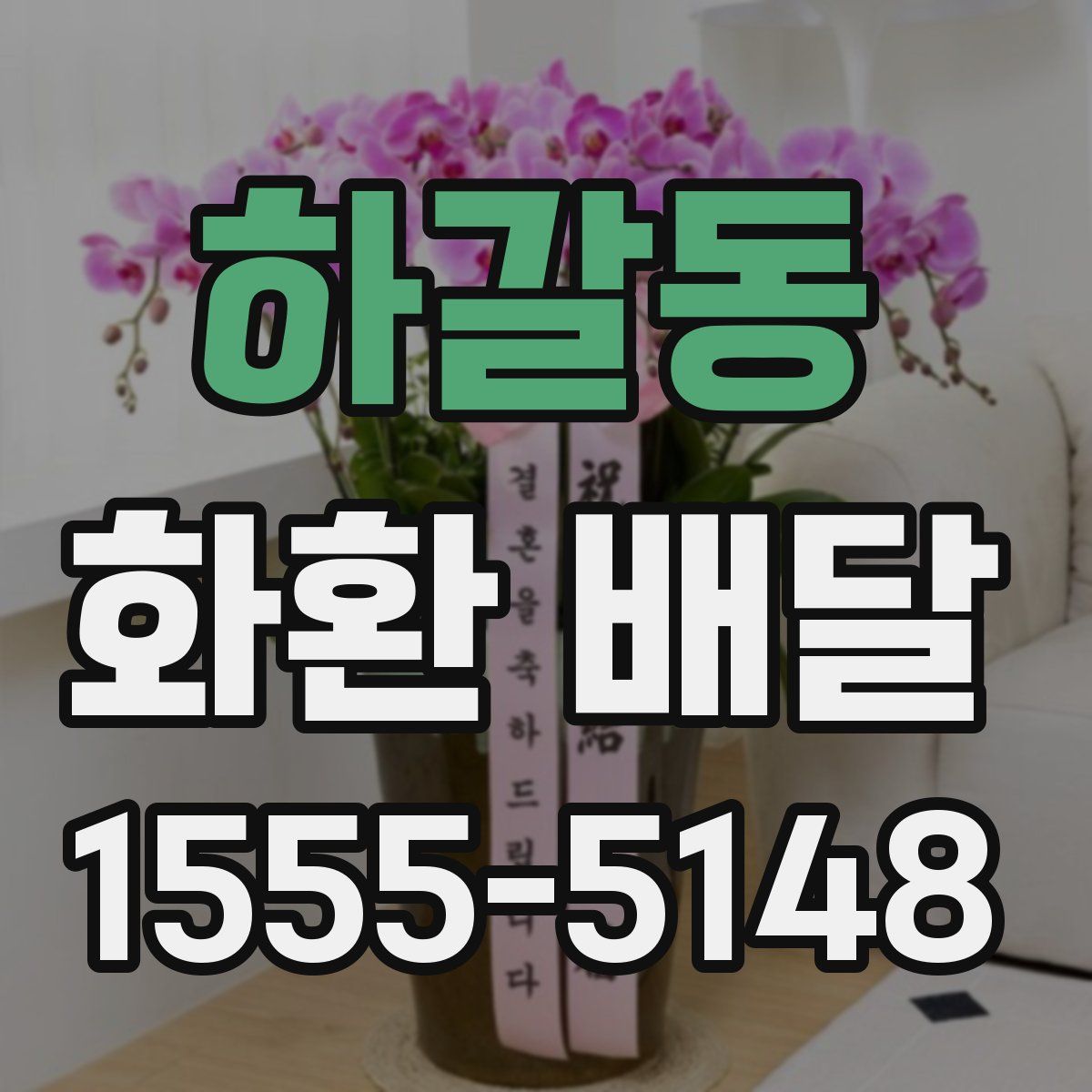 하갈동 화환 배달