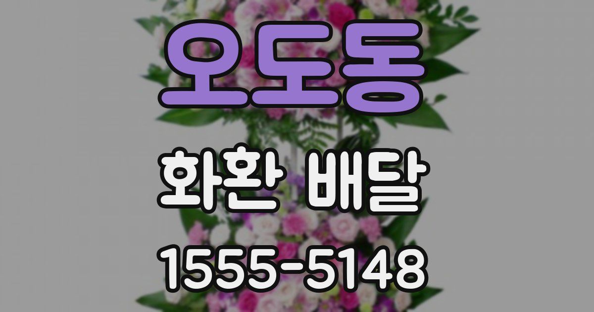 오도동 화환 배달