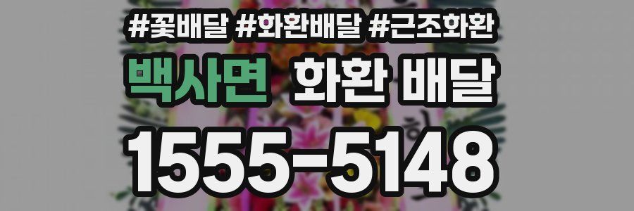 백사면 화환 배달