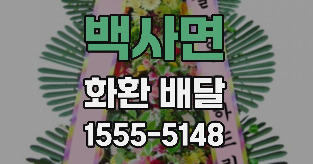 백사면 화환 배달