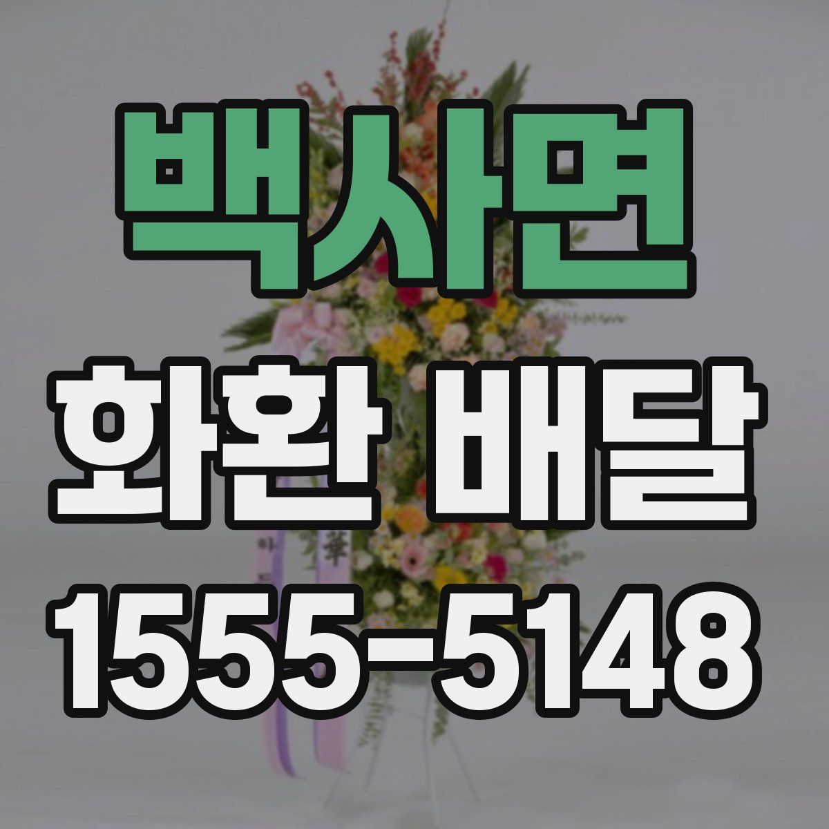 백사면 화환 배달