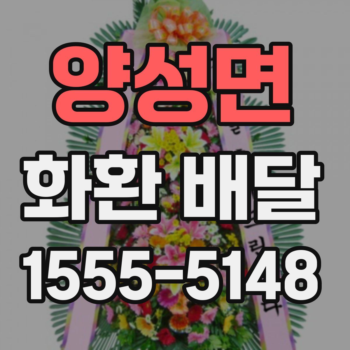 양성면 화환 배달