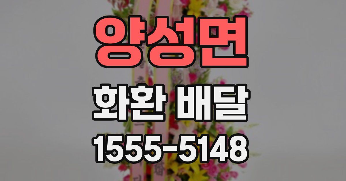 양성면 화환 배달