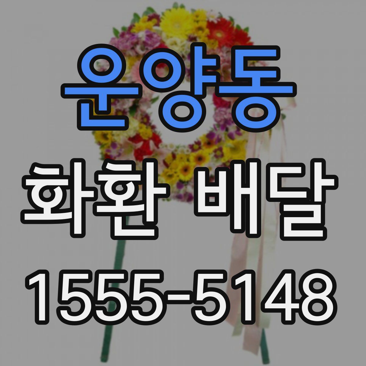 운양동 화환 배달