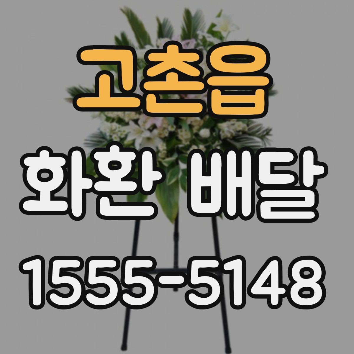 고촌읍 화환 배달 구성 선택에서 자주 비교되는 요소