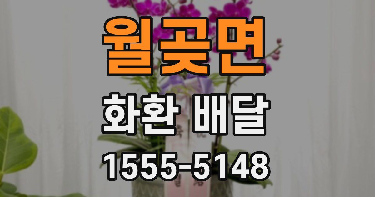 월곶면 화환 배달
