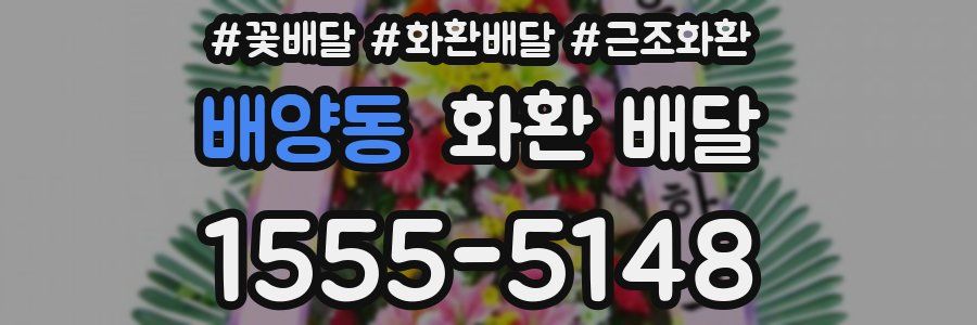 배양동 화환 배달