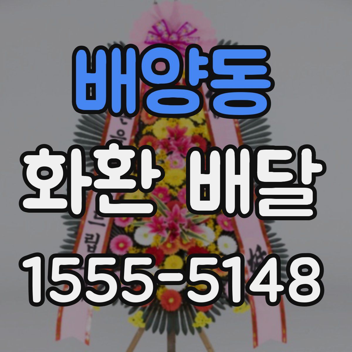 배양동 화환 배달