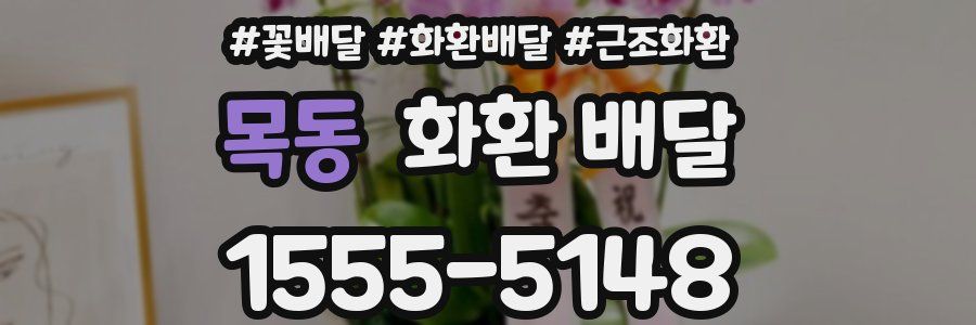 목동 화환 배달