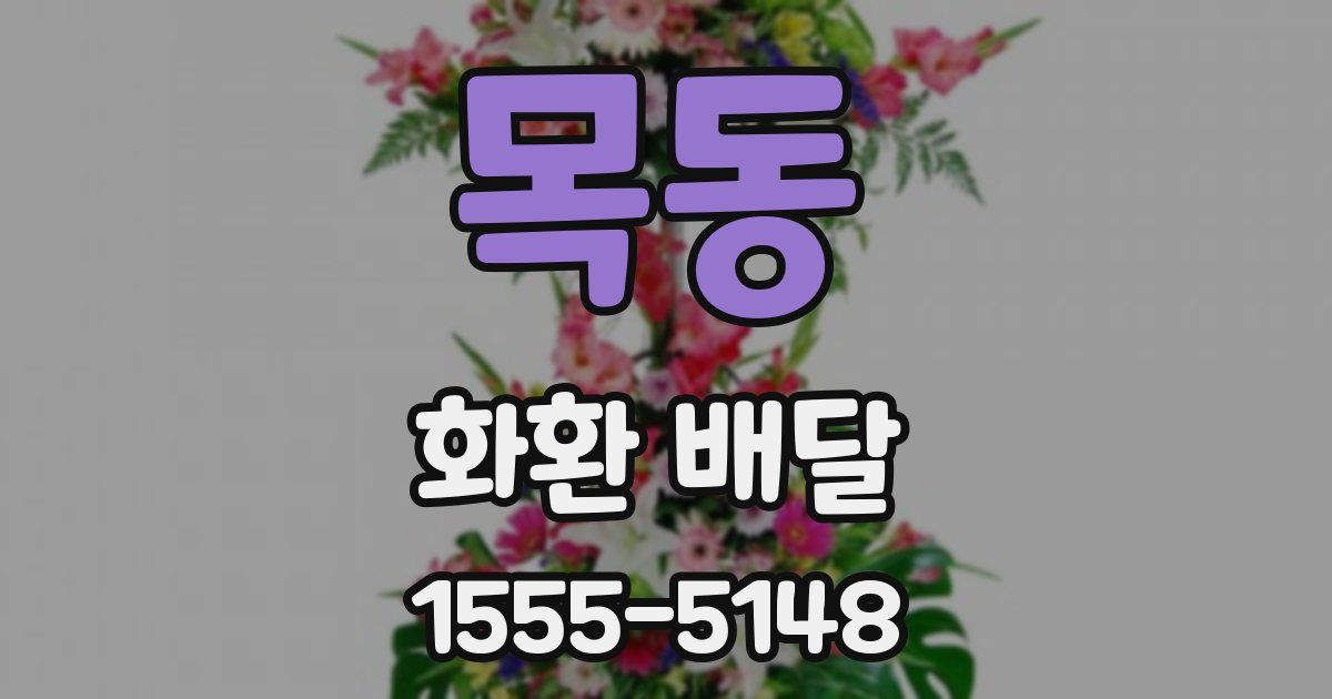 목동 화환 배달