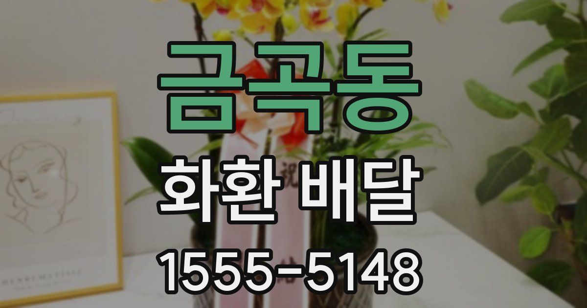 금곡동 화환 배달