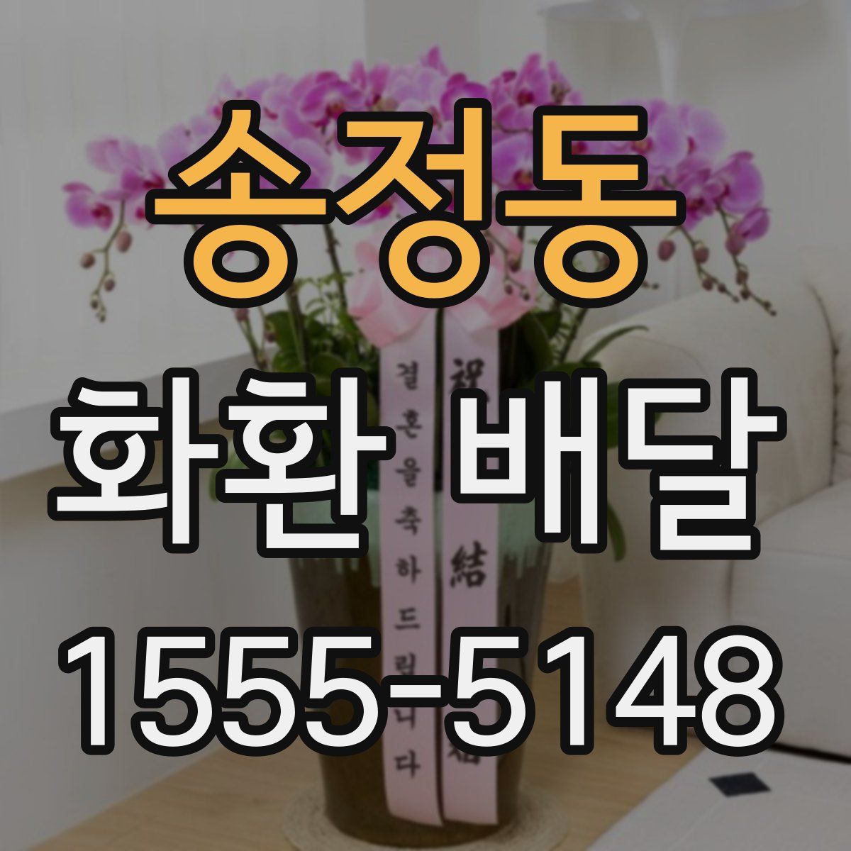 송정동 화환 배달