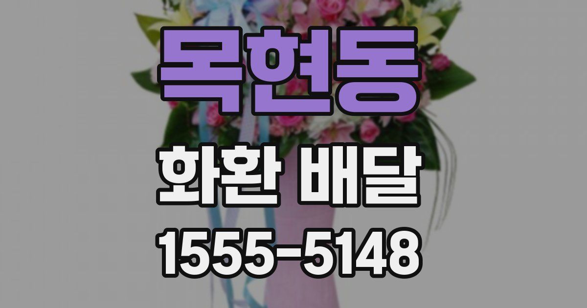 목현동 화환 배달
