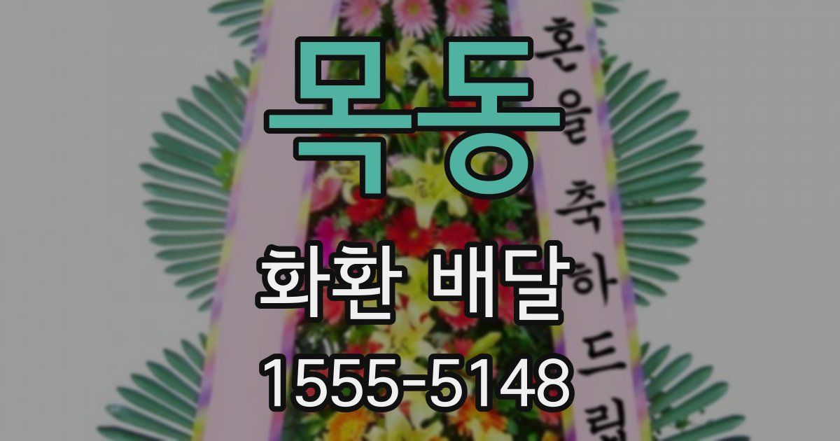 목동 화환 배달