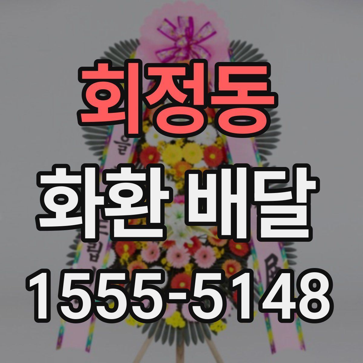 회정동 화환 배달