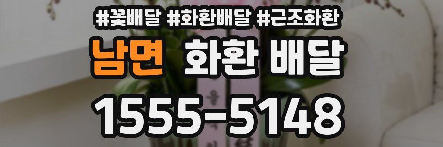 남면 화환 배달