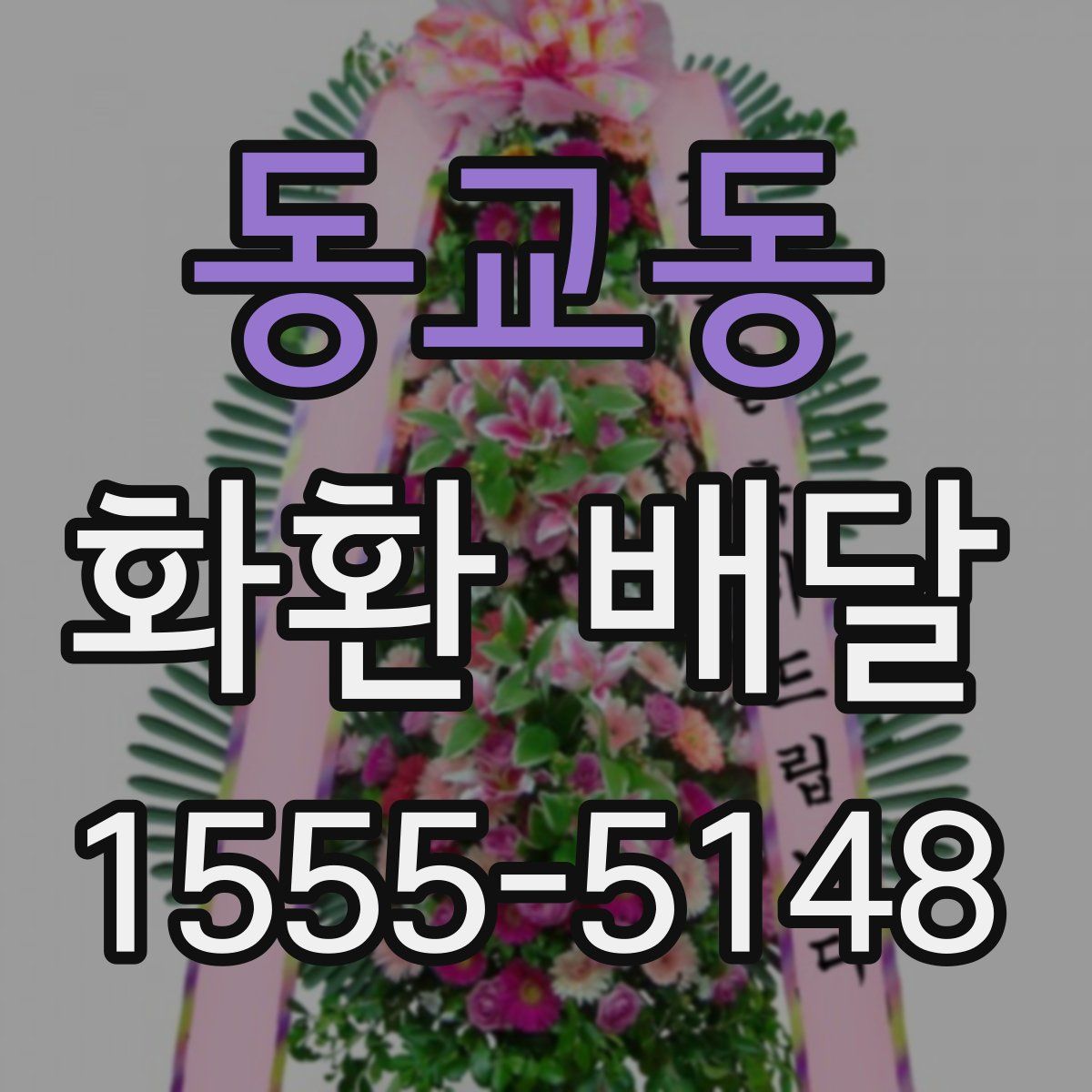 동교동 화환 배달