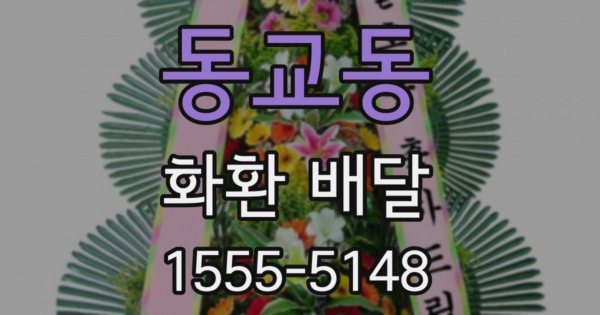동교동 화환 배달