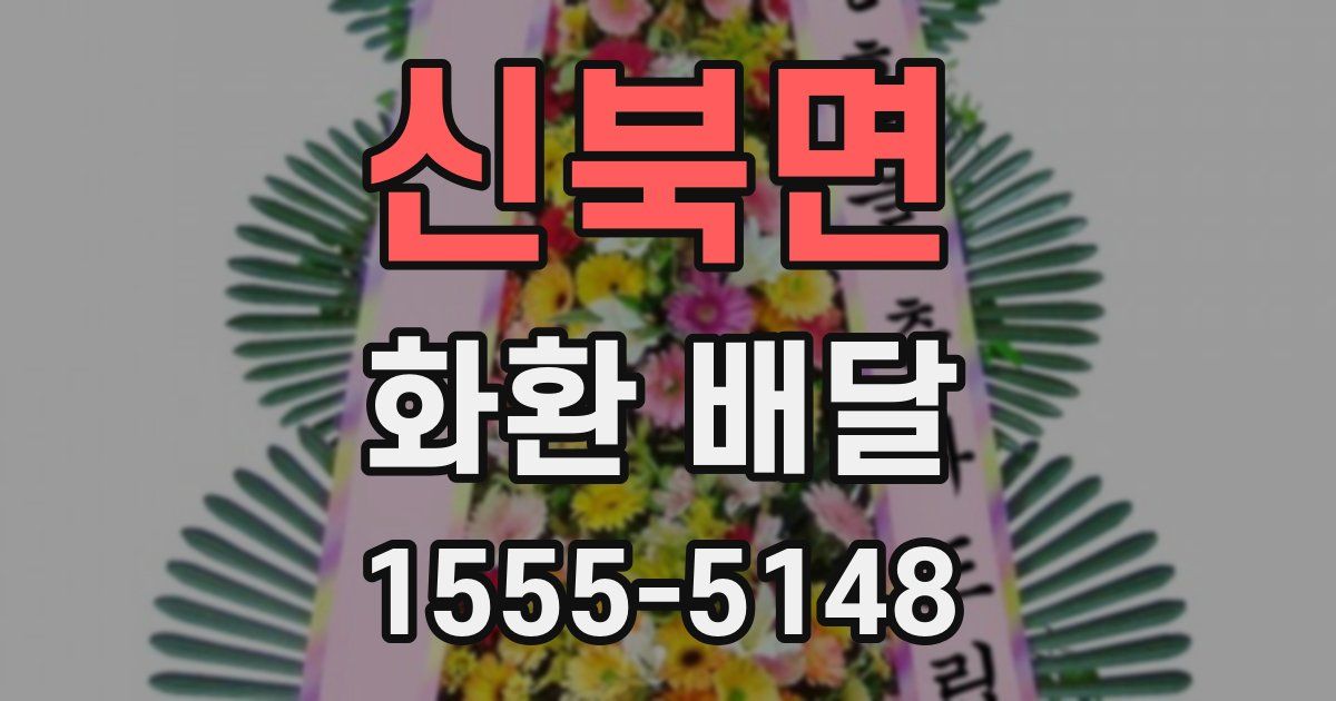 신북면 화환 배달