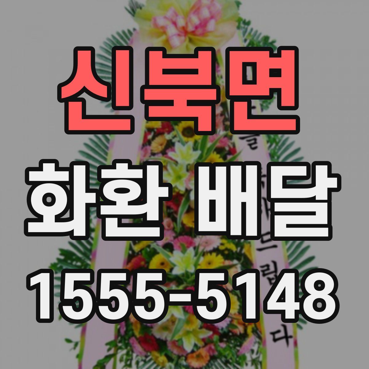 신북면 화환 배달