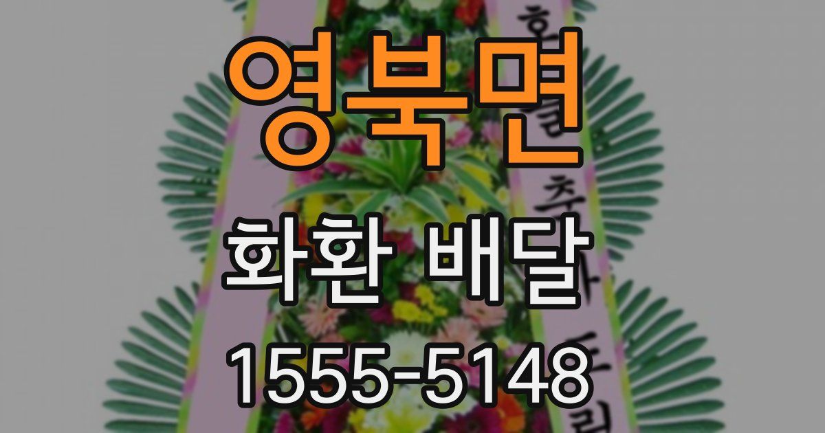 영북면 화환 배달