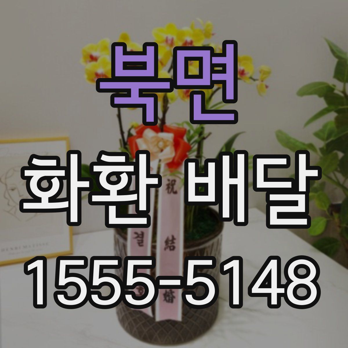 북면 화환 배달