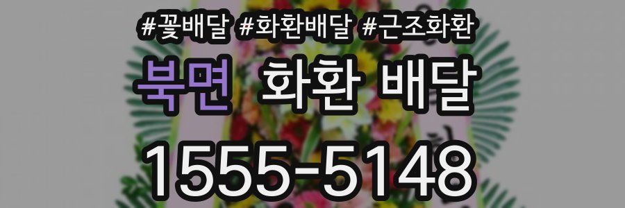 북면 화환 배달