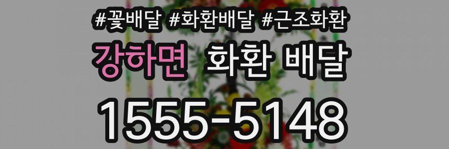 강하면 화환 배달