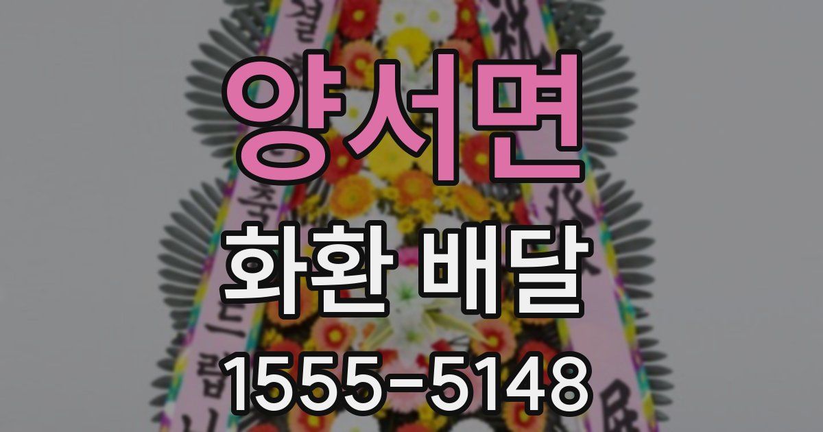 양서면 화환 배달