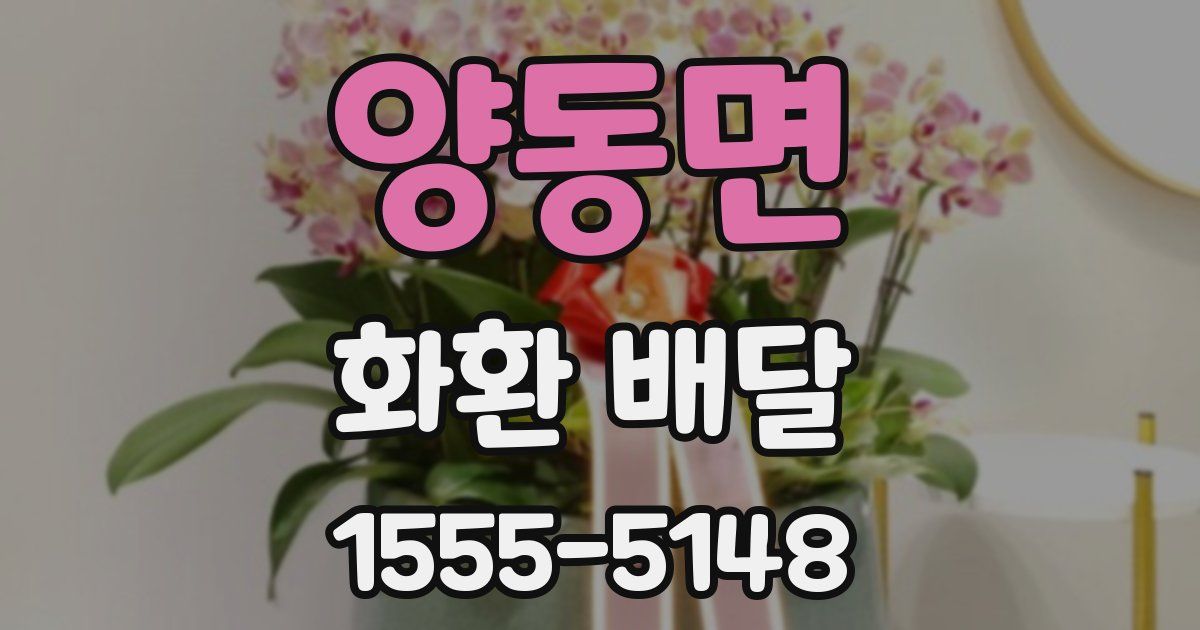 양동면 화환 배달