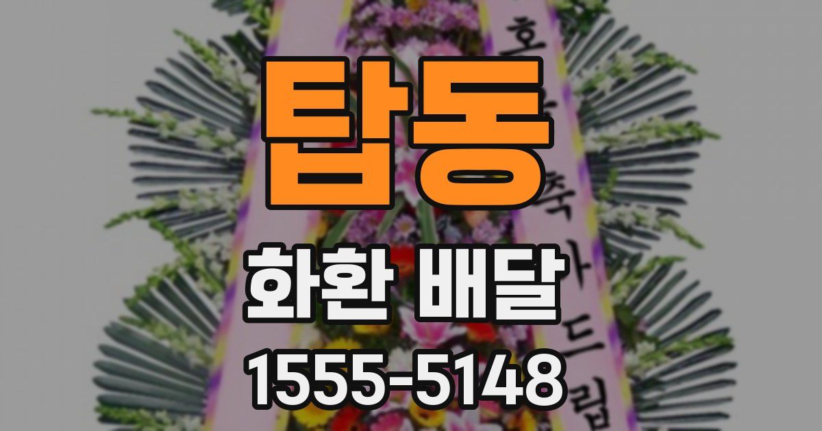 탑동 화환 배달