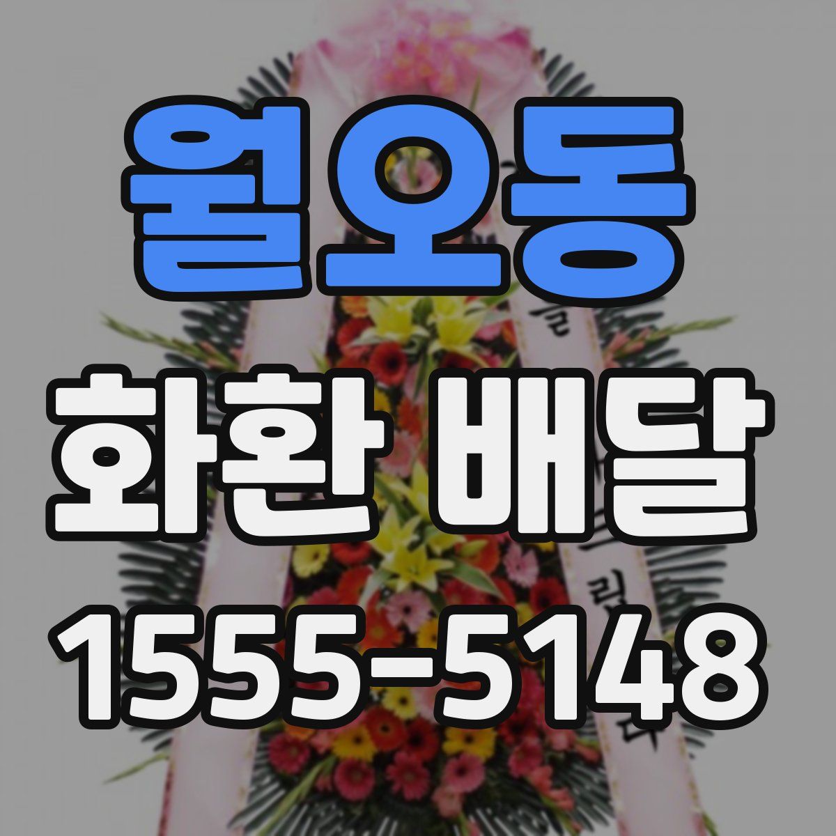 월오동 화환 배달