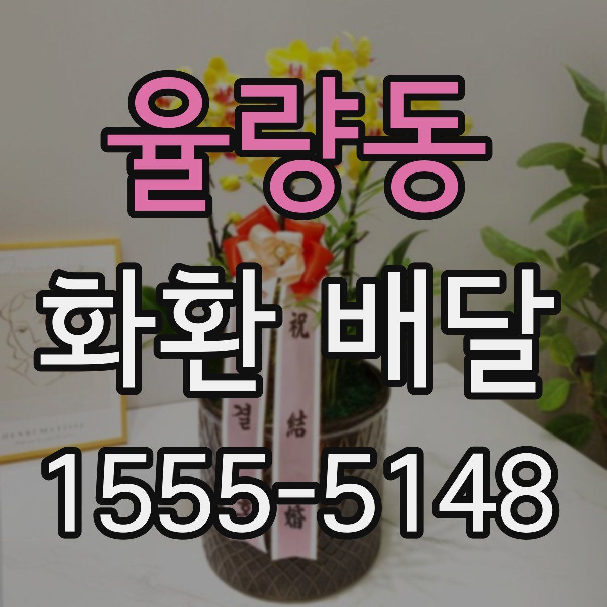 율량동 화환 배달