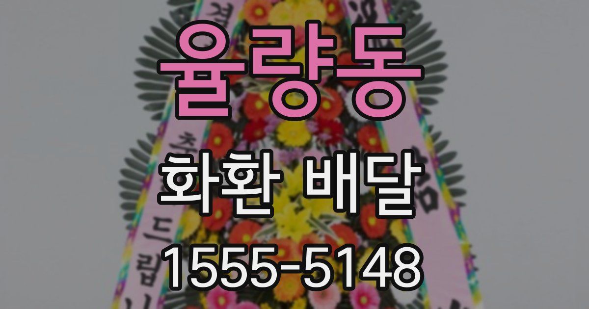 율량동 화환 배달