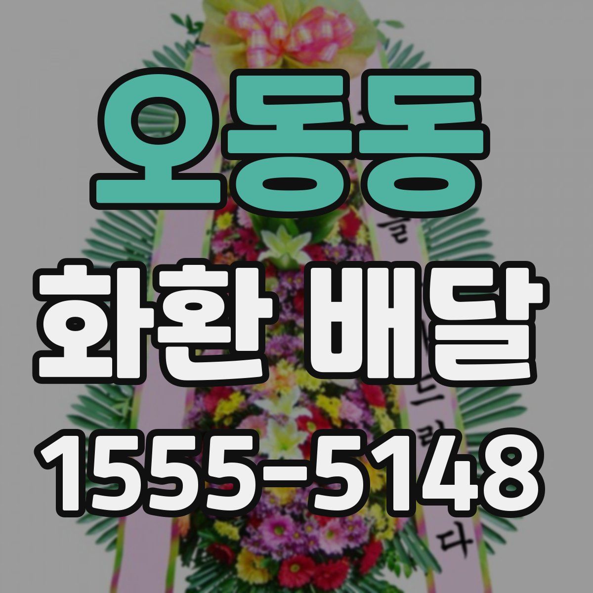 오동동 화환 배달