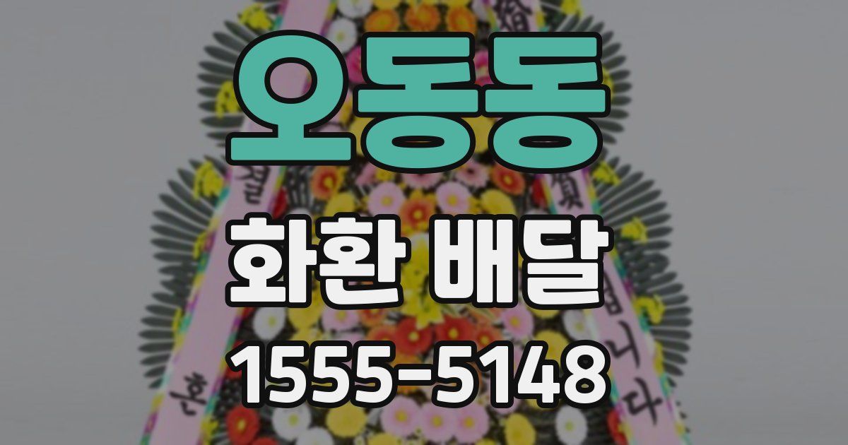 오동동 화환 배달