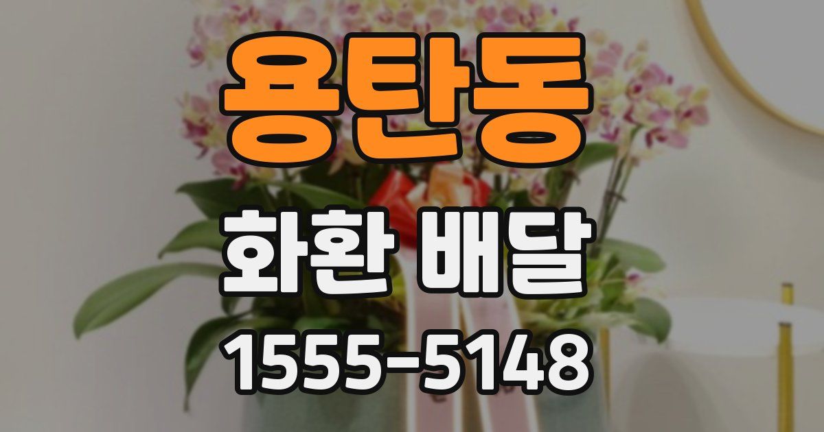 용탄동 화환 배달