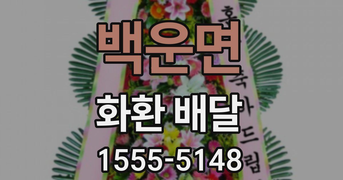 백운면 화환 배달