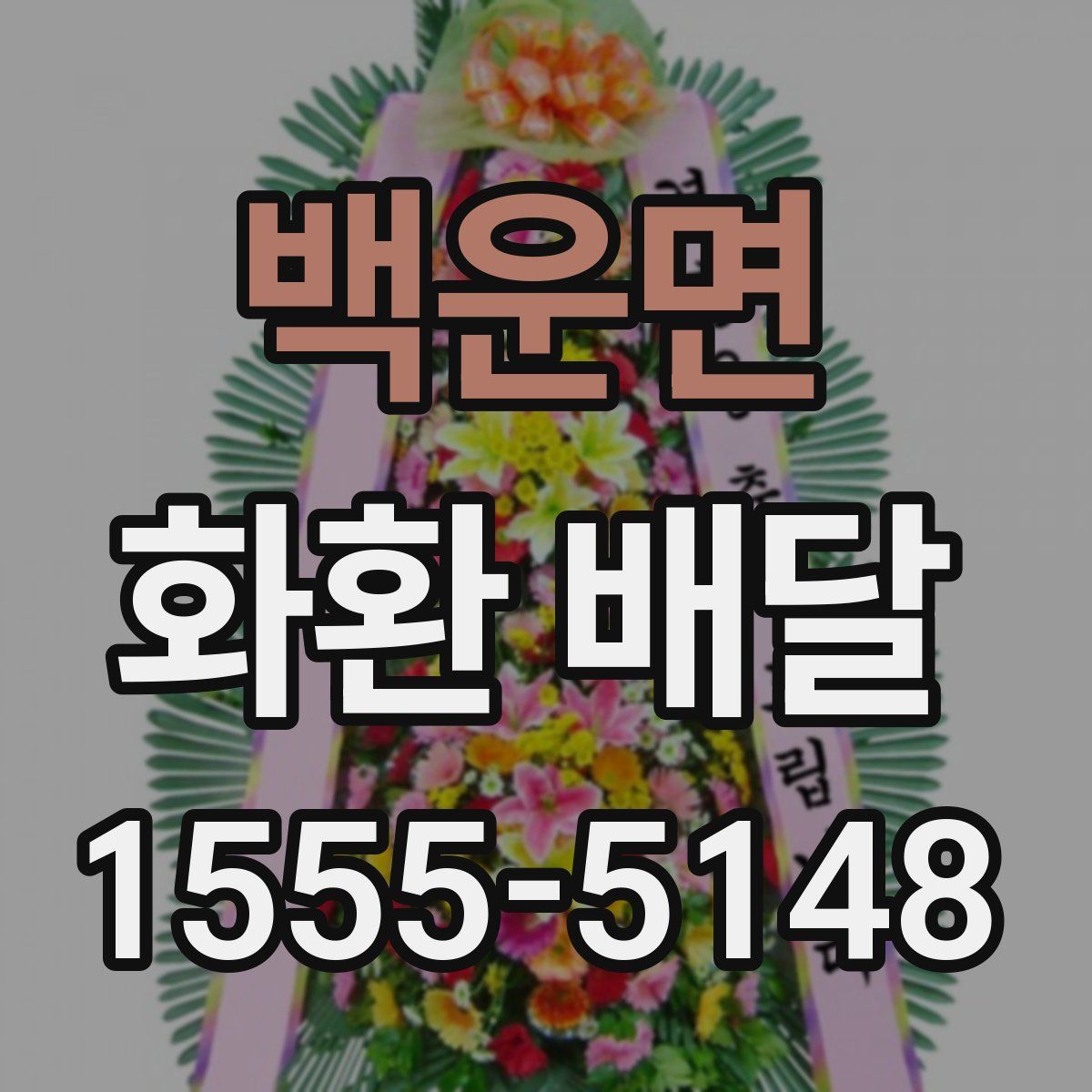 백운면 화환 배달