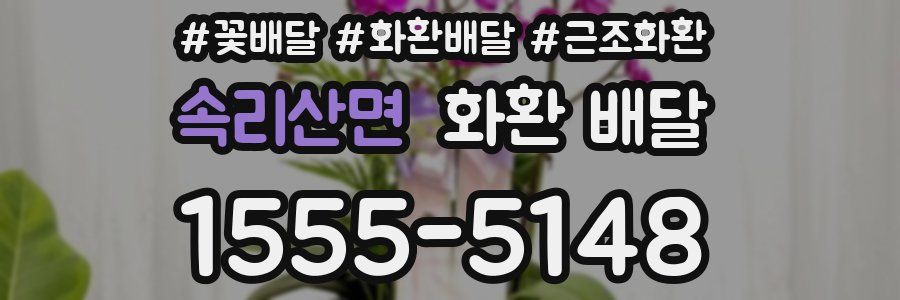 속리산면 화환 배달