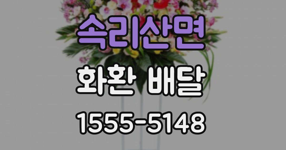 속리산면 화환 배달